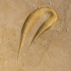 Alternative view of Hand Wash Ambre Noir