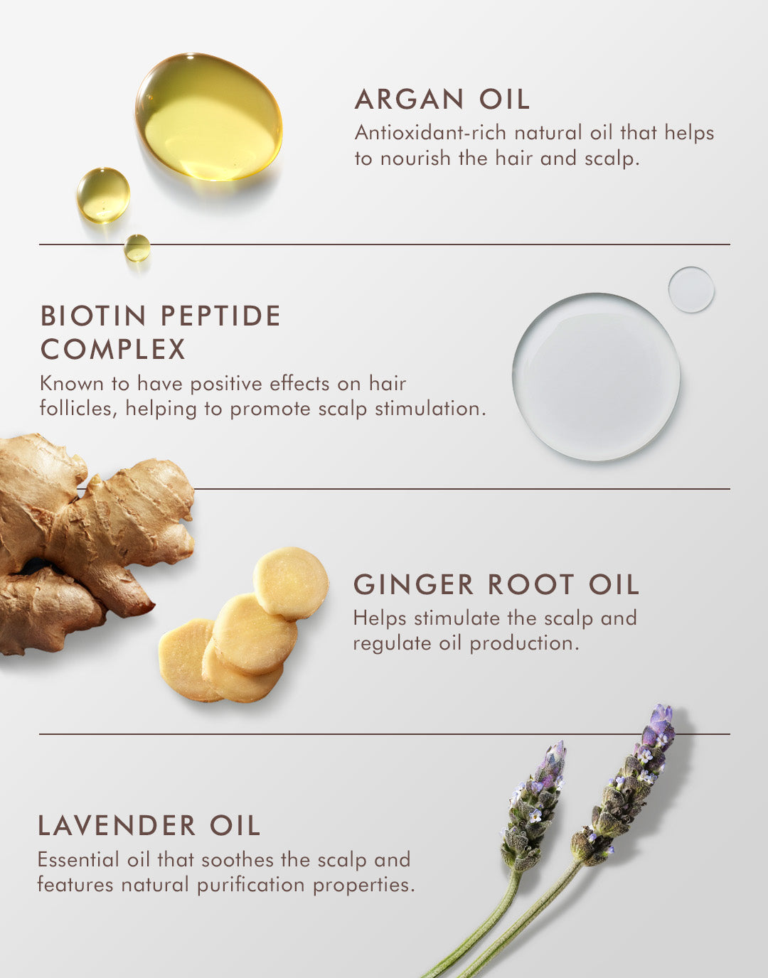 Oily Scalp Treatment - Image 4