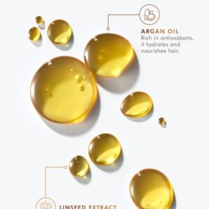 Alternative view of Moroccanoil Treatment Original